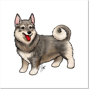 Dog - Swedish Vallhund - Sable Posters and Art